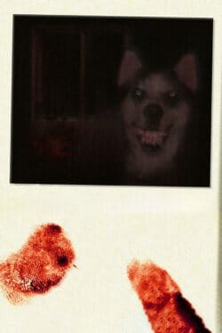 Smile Dog