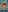 Blurred background image