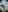 Blurred background image