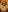 Blurred background image