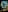 Blurred background image