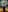 Blurred background image