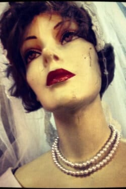 The Museum of Curiosities 