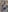 Blurred background image