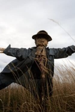 1976: The Year We Both Dressed Up Like Scarecrows