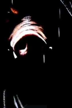 The Pig Man