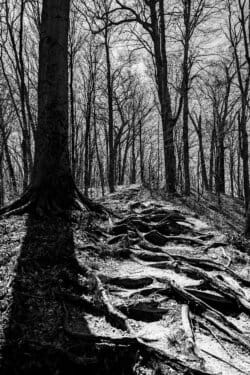 Out of Sight, Part 1