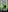 Blurred background image