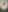 Blurred background image