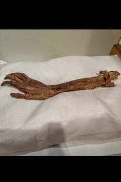 The Arm of Antietam
