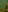 Blurred background image