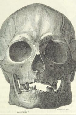 Smoking Glasses