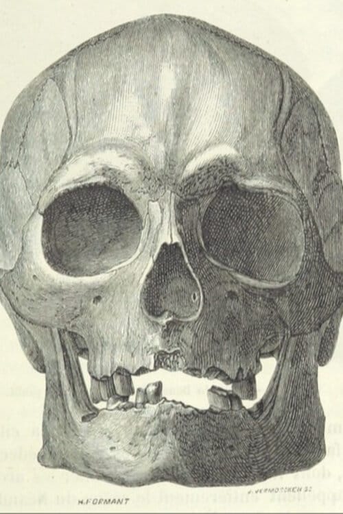 Smoking Glasses