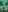 Blurred background image