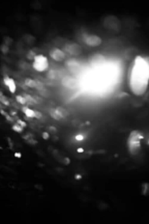 I Love the Rain
