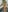Blurred background image