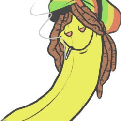 Bakedbanana avatar