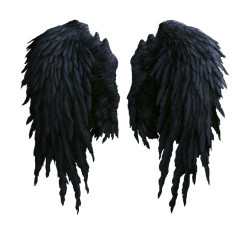 BLACKWINGS avatar