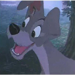 CreepyCartoonDisneyDog avatar