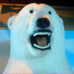 PolarBear avatar