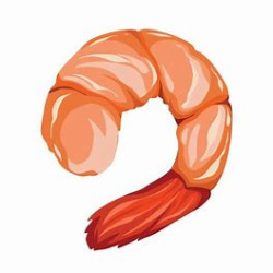 Shrimp Guy avatar