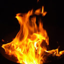 wwwocls12 avatar