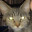 MaxIzmad avatar