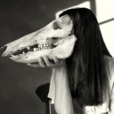 Kelpie_Water avatar