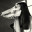 Kelpie_Water avatar