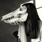 Kelpie_Water avatar