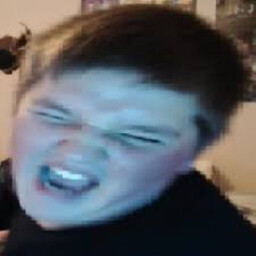 shamrock avatar