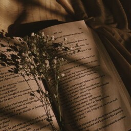 _MYSTERY BOOKIES_ avatar