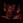 Desmodus avatar