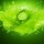 LimeGuy36 avatar
