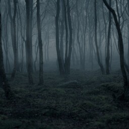 _kartifel avatar
