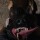 zombiepuppy avatar