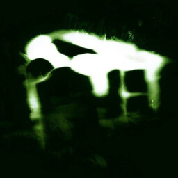 Quakers1023 avatar