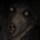 MurderHouze avatar