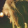 glowcloud avatar