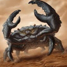 killercrab avatar