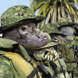 Praetorian avatar