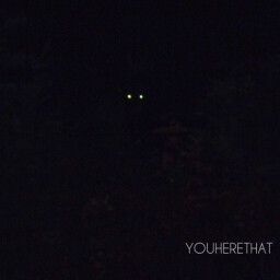 YouHereThat avatar