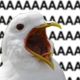 ishimondo420 avatar