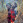 MrGator avatar