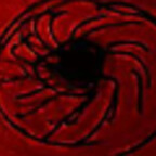 LoganKnottsB avatar