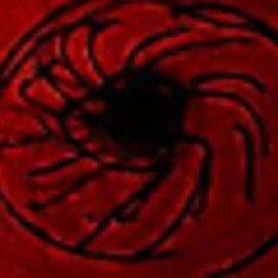 LoganKnottsB avatar