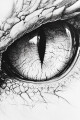 Beastface written by JonathanKonopka