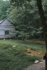 Theres Something in the Woods written by cmartinez855