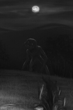A Summer Night Run written by Derrin