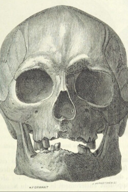 Smoking Glasses written by Cornconic